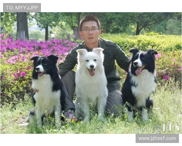 西安飞盘队强势领跑最新飞盘节奏TOP10榜单引发热议