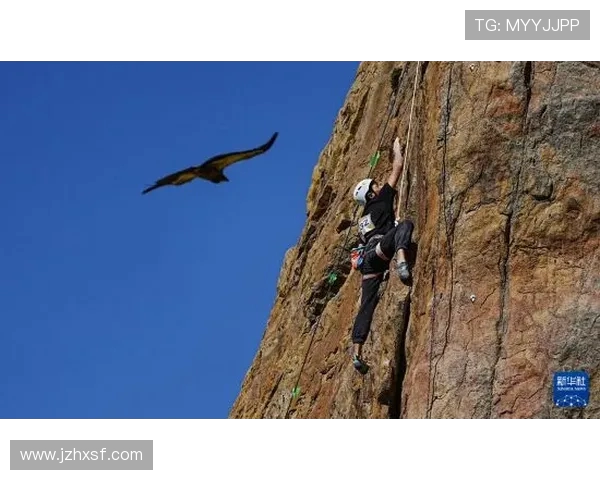 广州攀岩队与重庆攀岩队个人能力对比分析赛后复盘